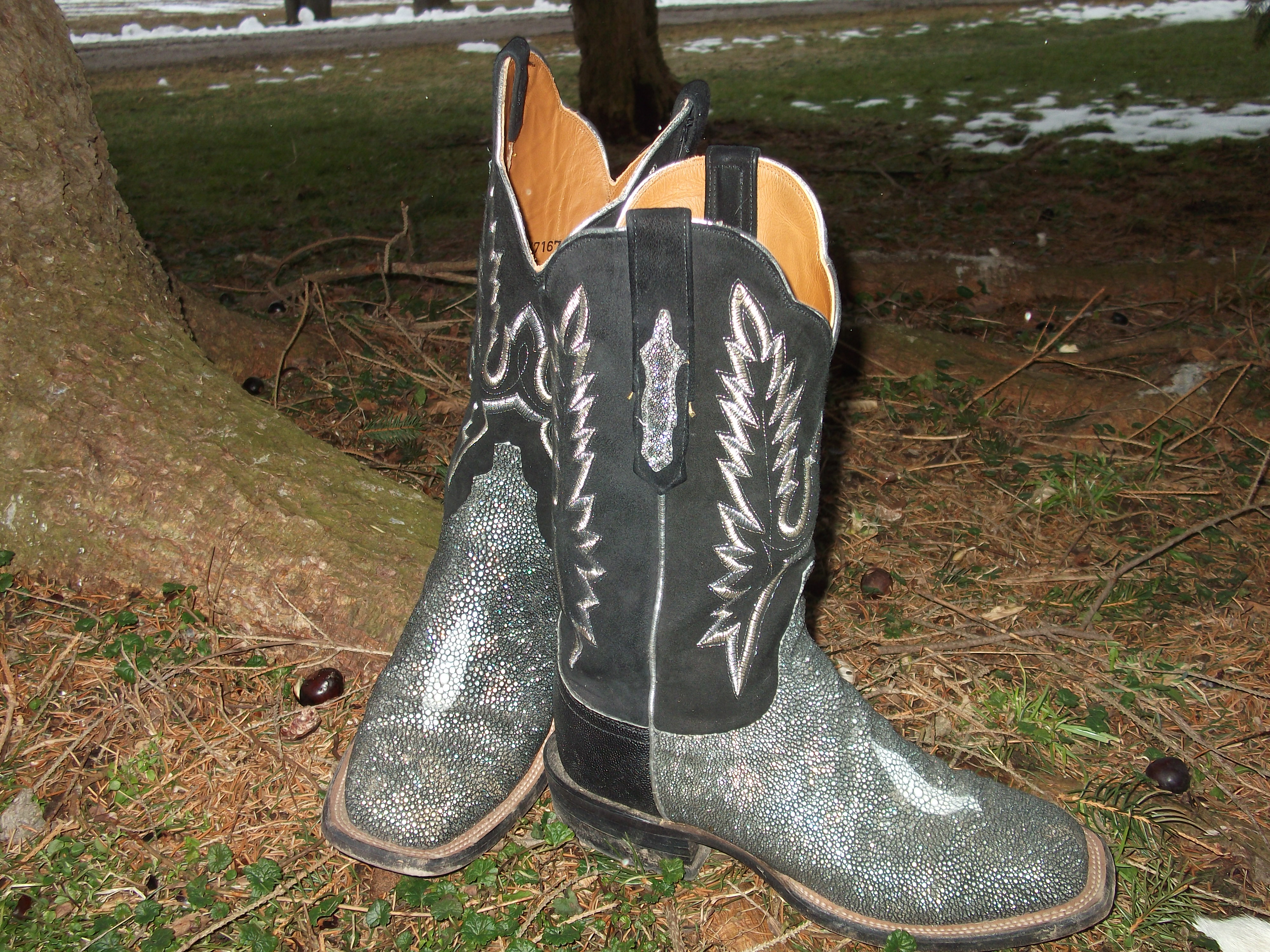 Metallic Silver Lucchese Boots