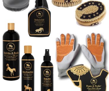 Grooming essentials for a clean horse