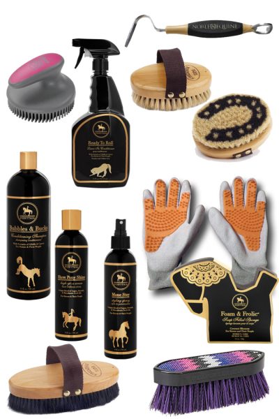 Grooming Essentials for a Clean Horse - Horses & Heels