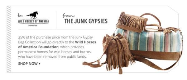 Junk Gypsy Gives Back to Wild Horses - Horses & Heels