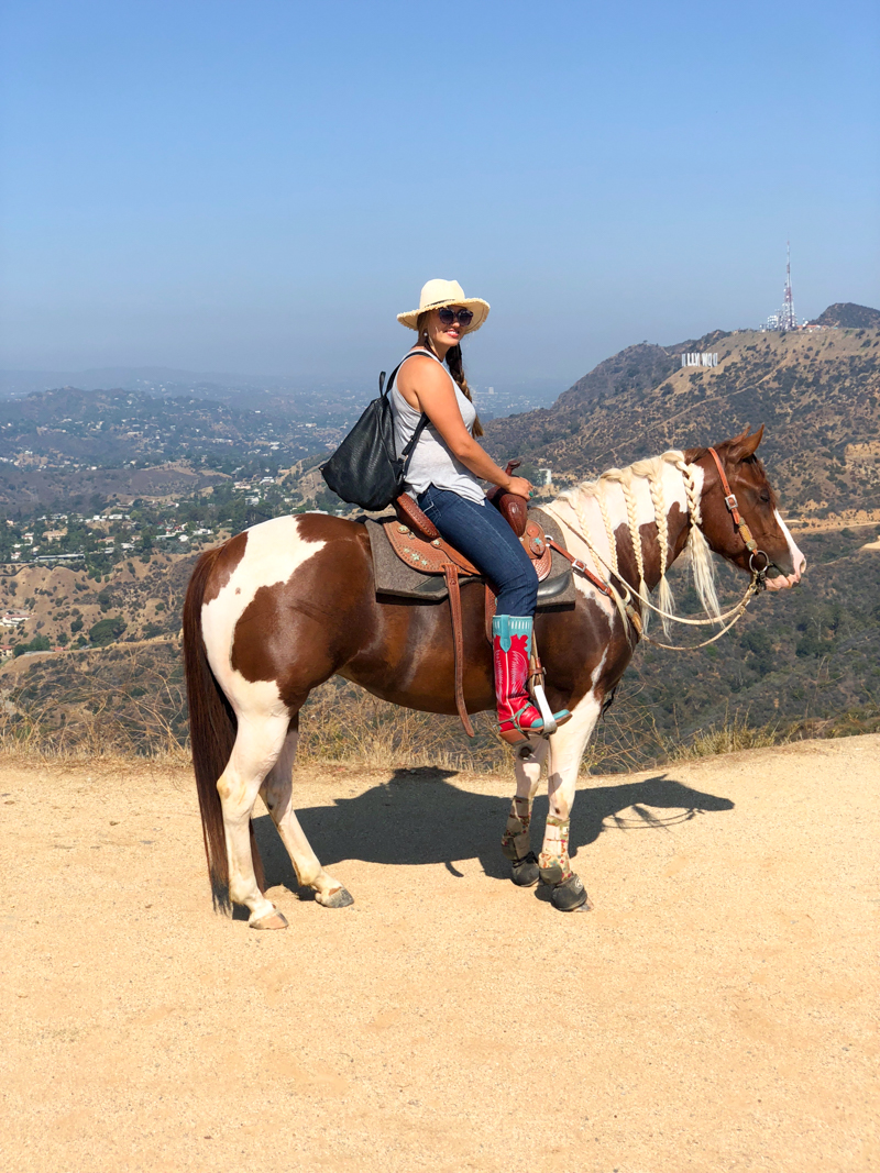 Hollywood sign in the background