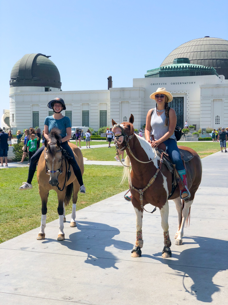 Horses at the Griffith Observatory