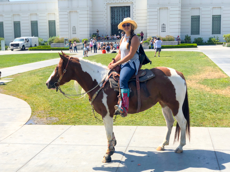 exploring Los Angeles on horseback