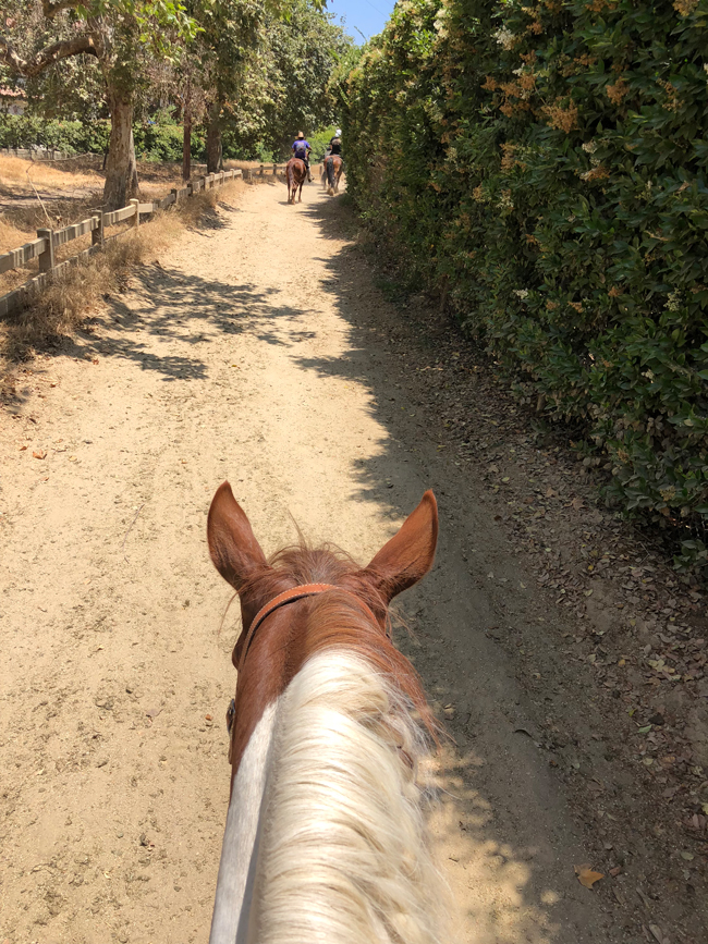 hitting the trails on horseback