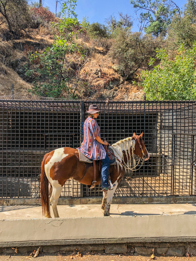 horseback riding to the old zoo in L.A.