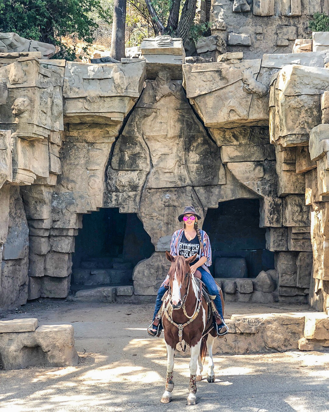 riding inside the old zoo