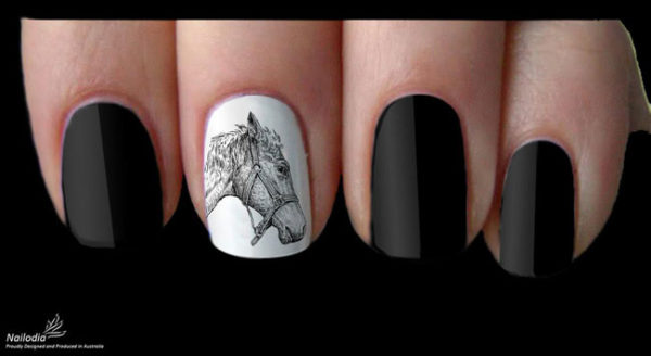 1. Horse Head Nail Art Stamp - wide 4