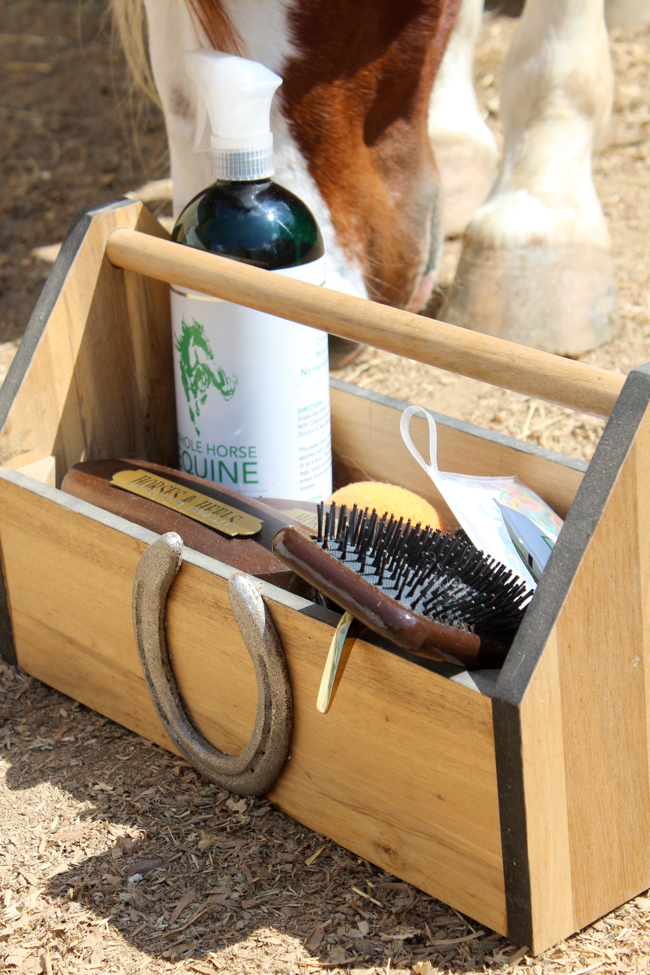 Grooming box and horse