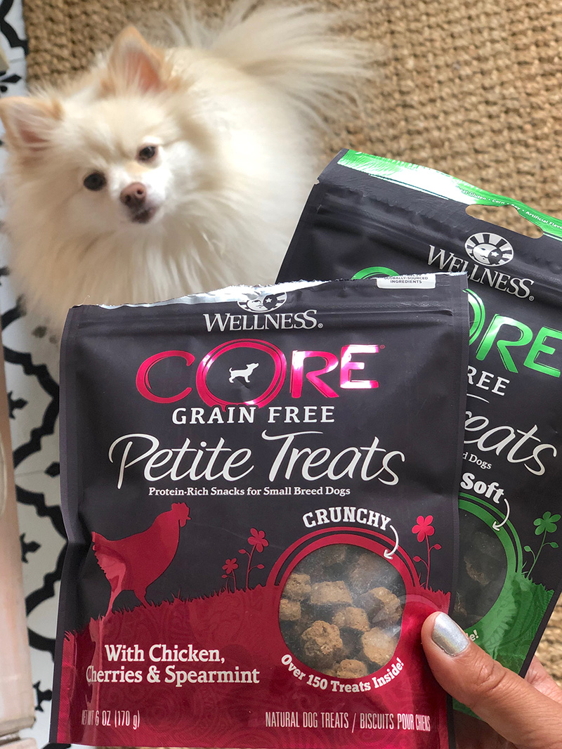 Mango and the Petite Treats from Wellness CORE