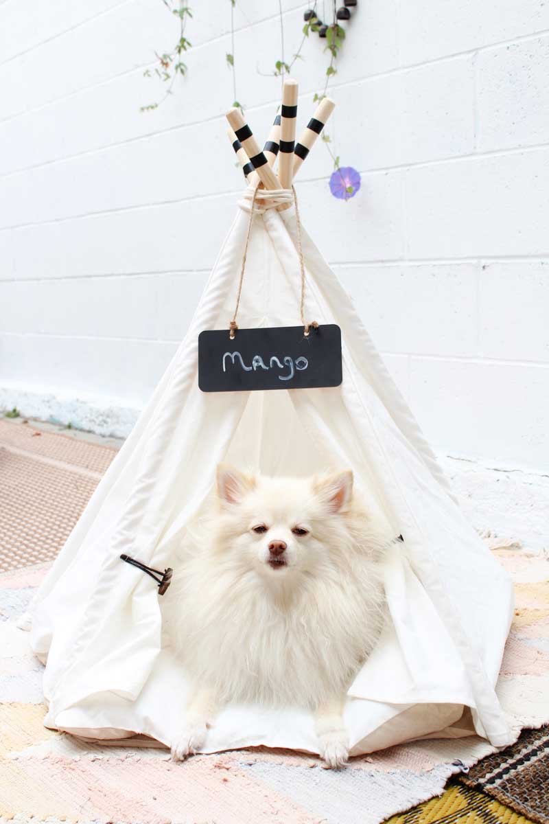 Dog tipi for small dogs