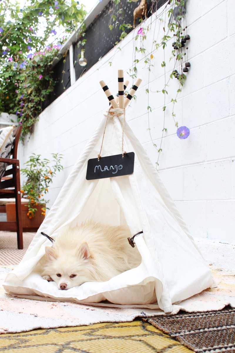Spoil your dog with a teepee for napping