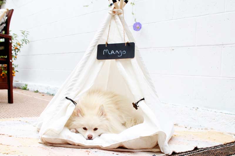 The best dog teepee for sale - get the full review on Horses & Heels