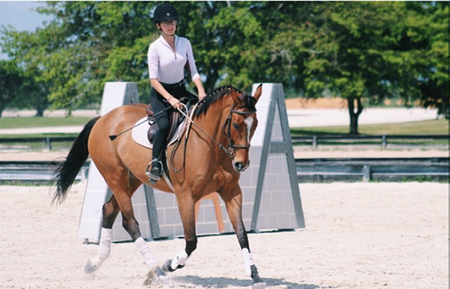 English rider in the arena