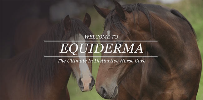 Equiderma horse care