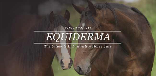 Must have luxury equestrian brands – EquiZone Online