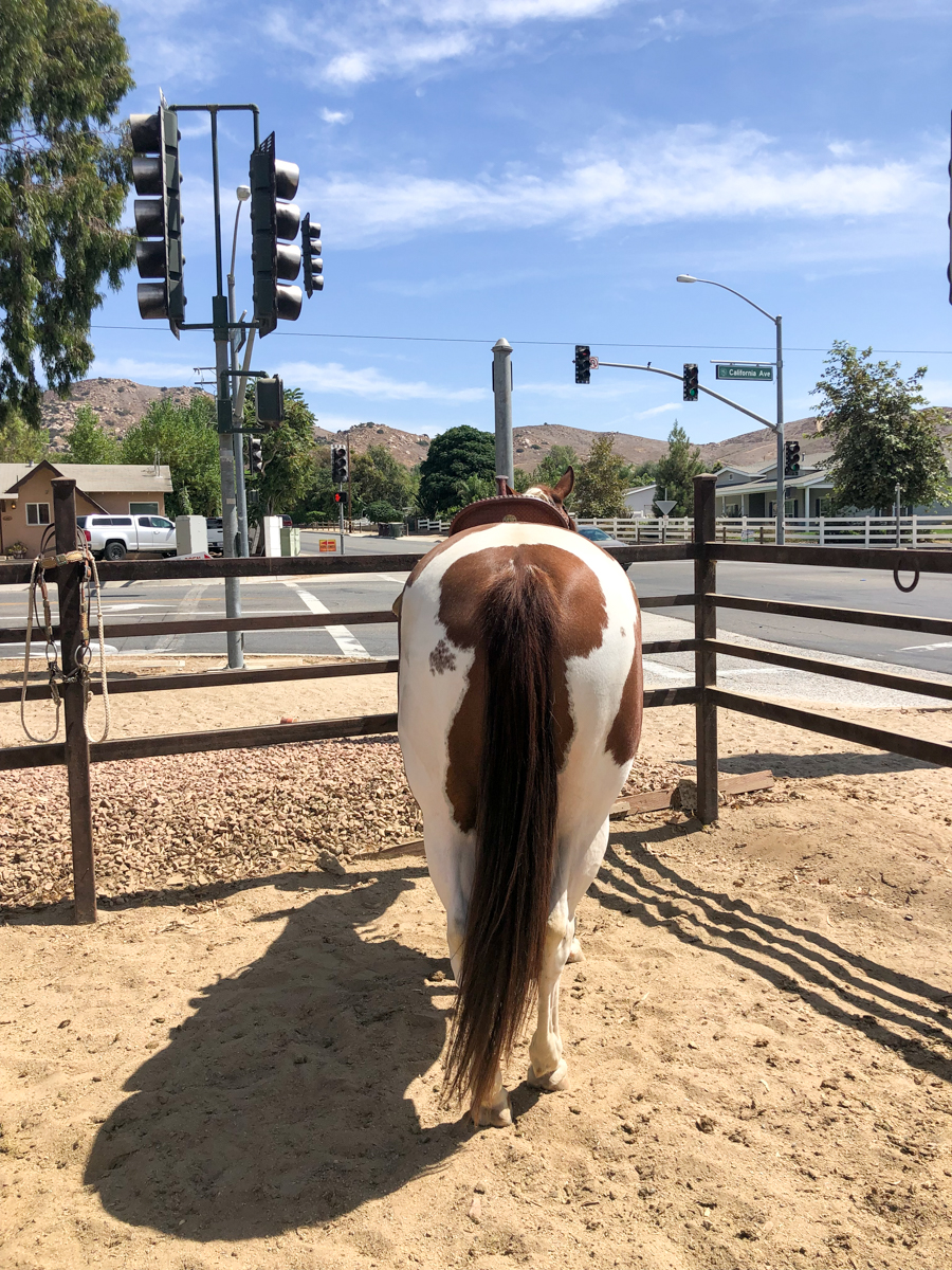 Horse parking in Norco, California