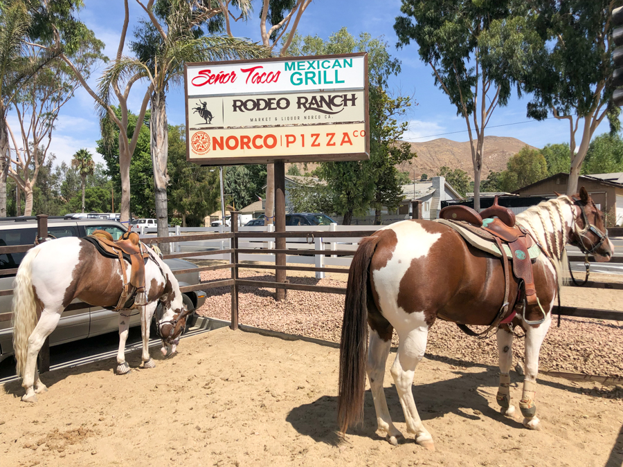 Lunch break with the horses in Norco