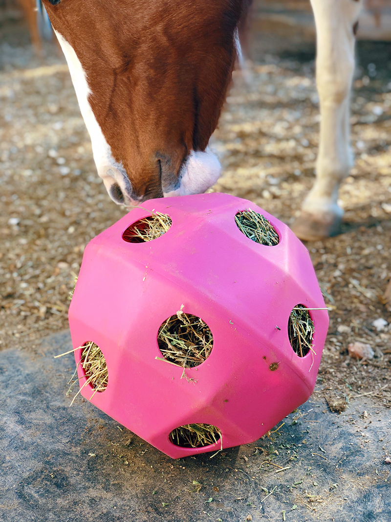 **MULTI-BUY DISCOUNT** Blue Equine Horse or Pony Hay Ball 75mm Treat Feeder 