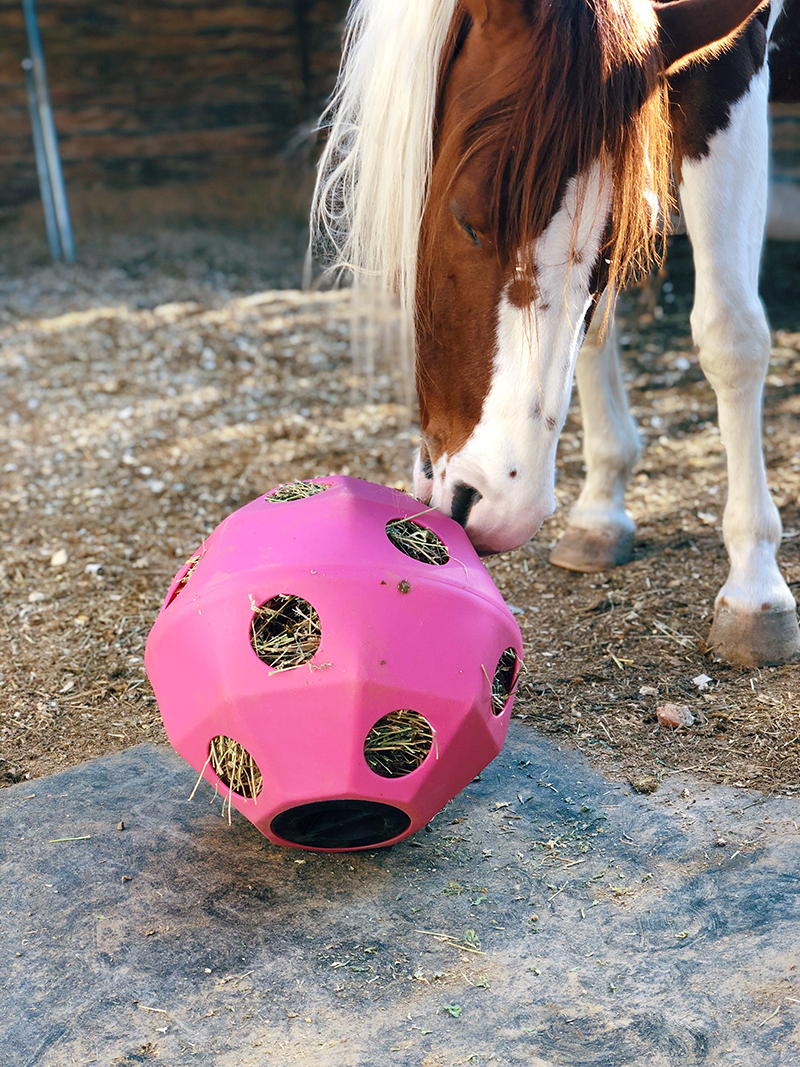 Stall ball slow feeder for horses