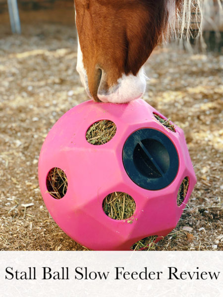 inflatable horse ball