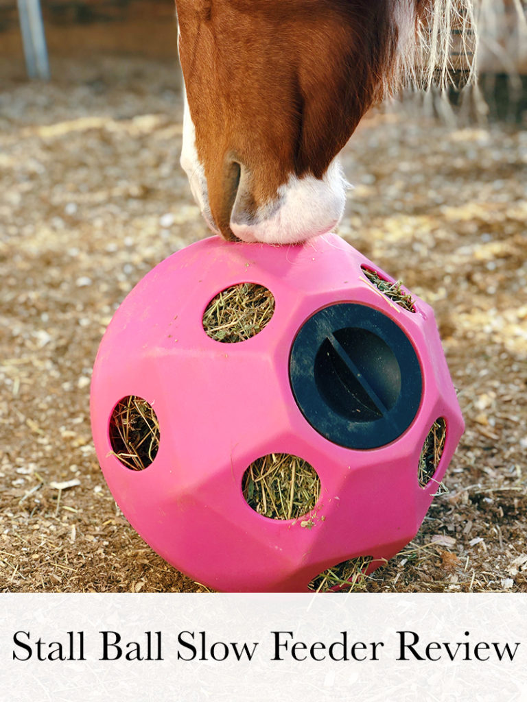 Slow Feeder Stall Ball Review Horses & Heels