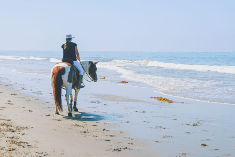 Bucket List Adventure: Horseback Riding on the Beach - Horses & Heels