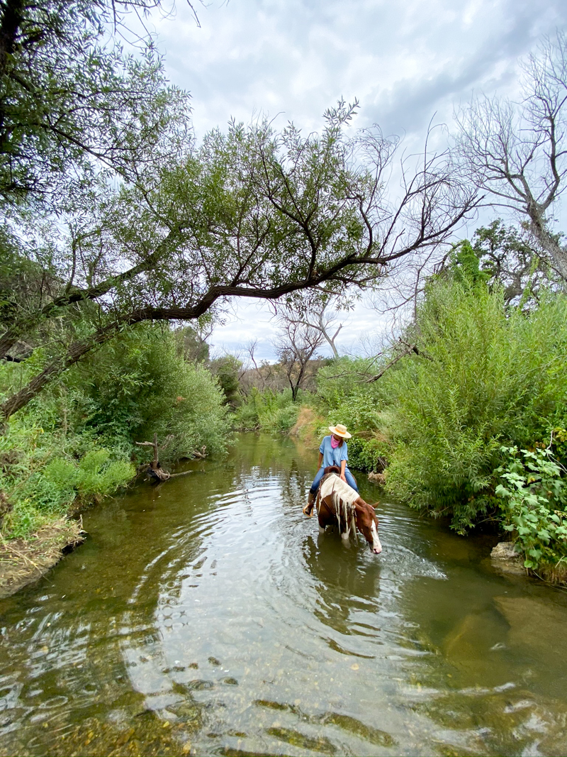 Cooling off in the stream at Paramount Ranch