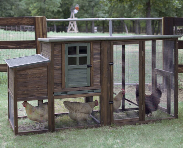 Hen house with roosting bar