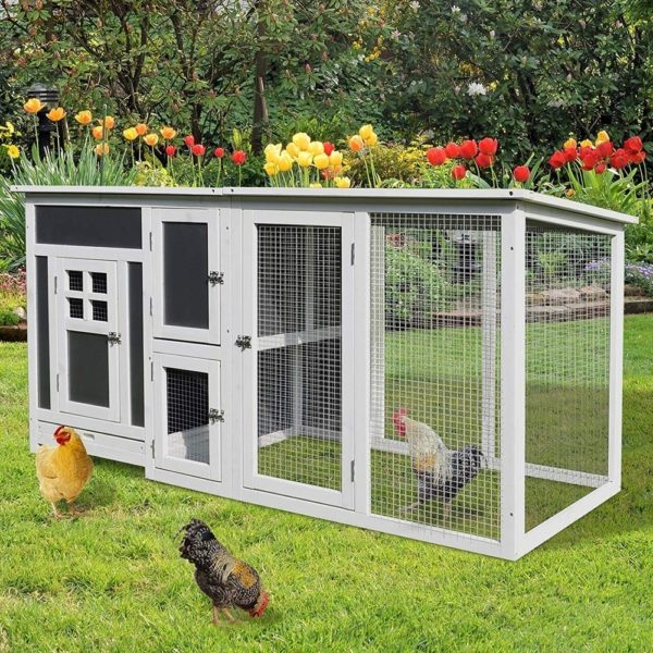 Large outdoor chicken coop