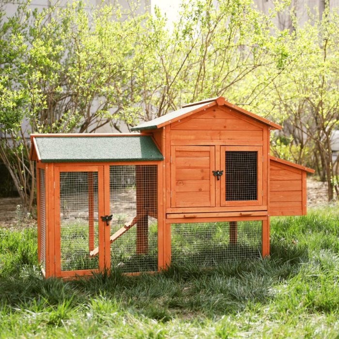 The Best Chicken Coops for Your Yard or Small Farm - Horses & Heels