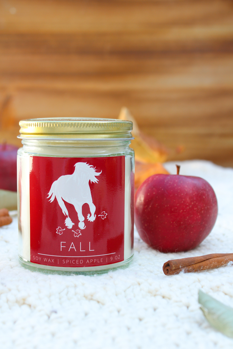 Spiced apple autumn scented candle