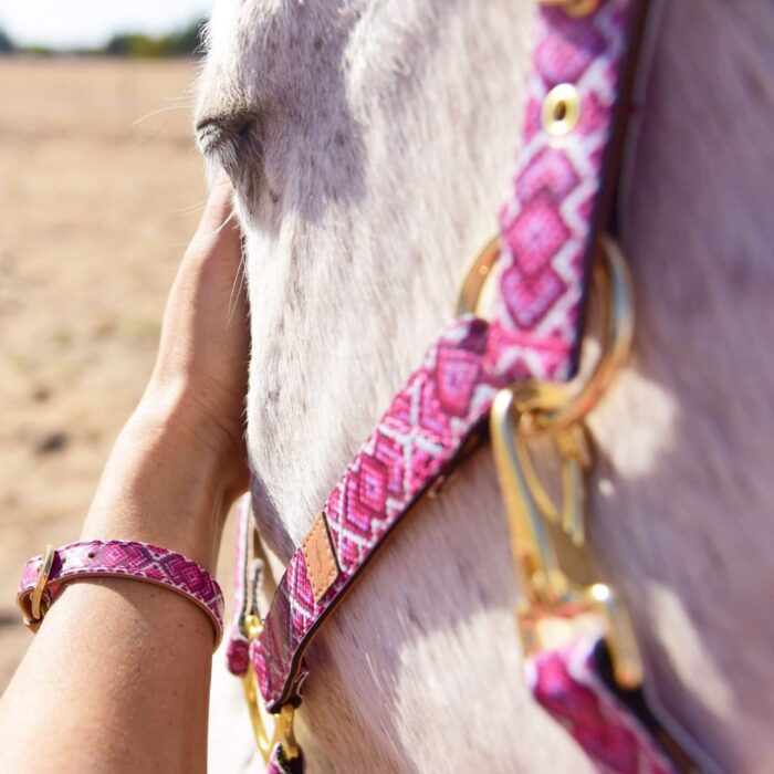 Friendship collar and halter for horse and human