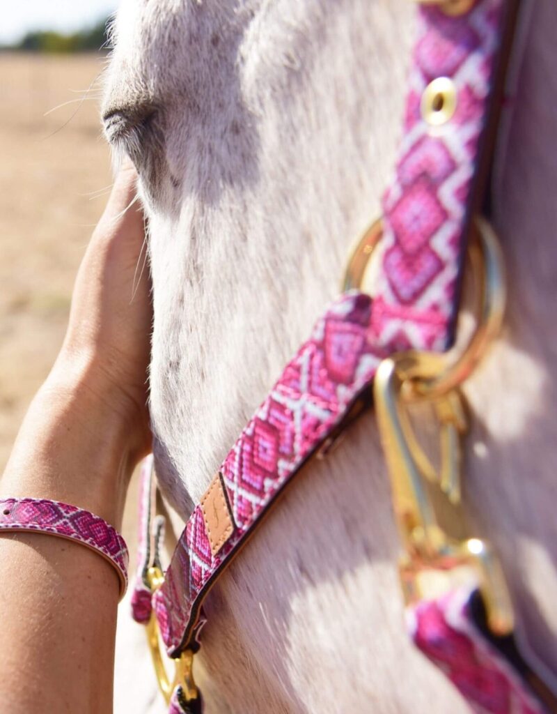Friendship collar and halter for horse and human