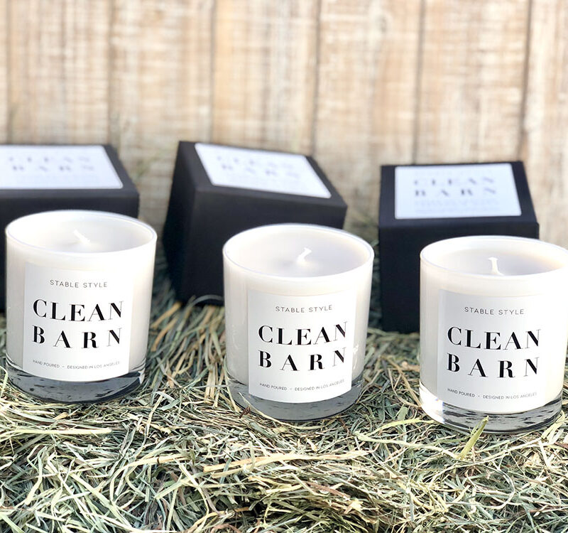 The best candles for equestrians