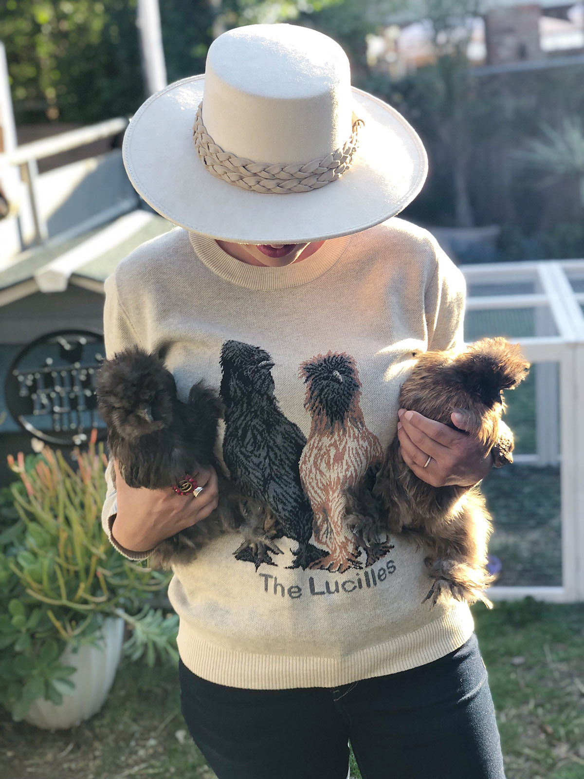 Chicken sweater and my chickens