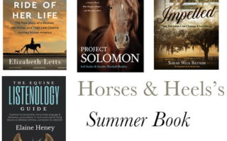 Summer horse books to read