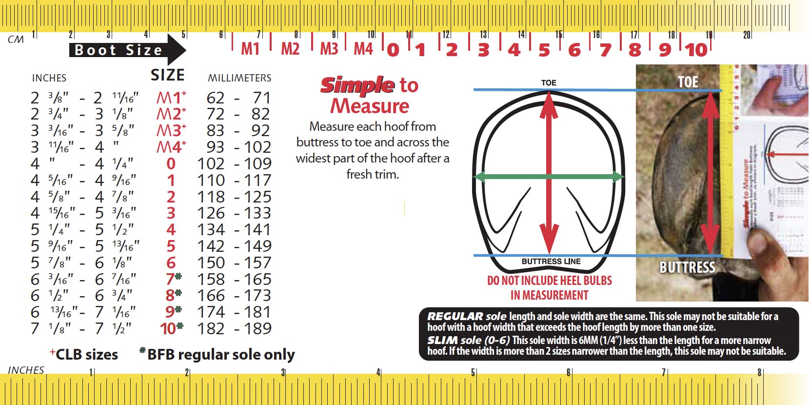How to measure your horse for hoof boots