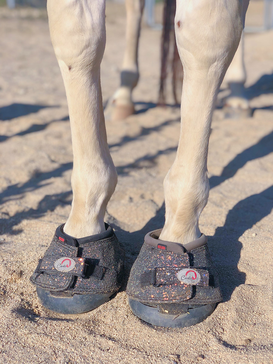 The best hoof boots for your horse