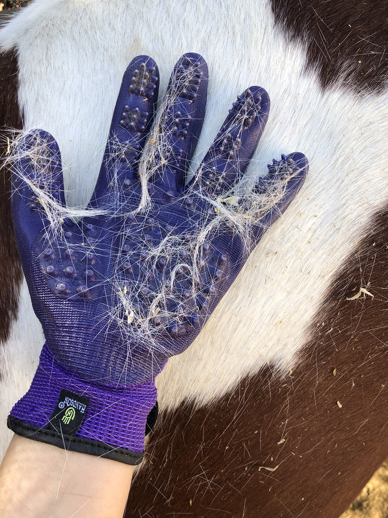 Handson Grooming Gloves