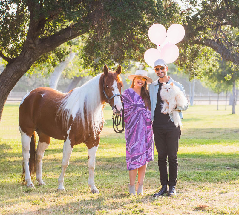 A horse themed baby announcement