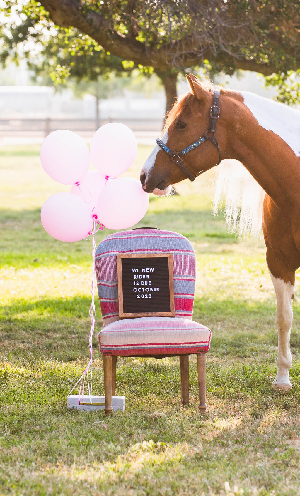 Our horse themed baby announcement