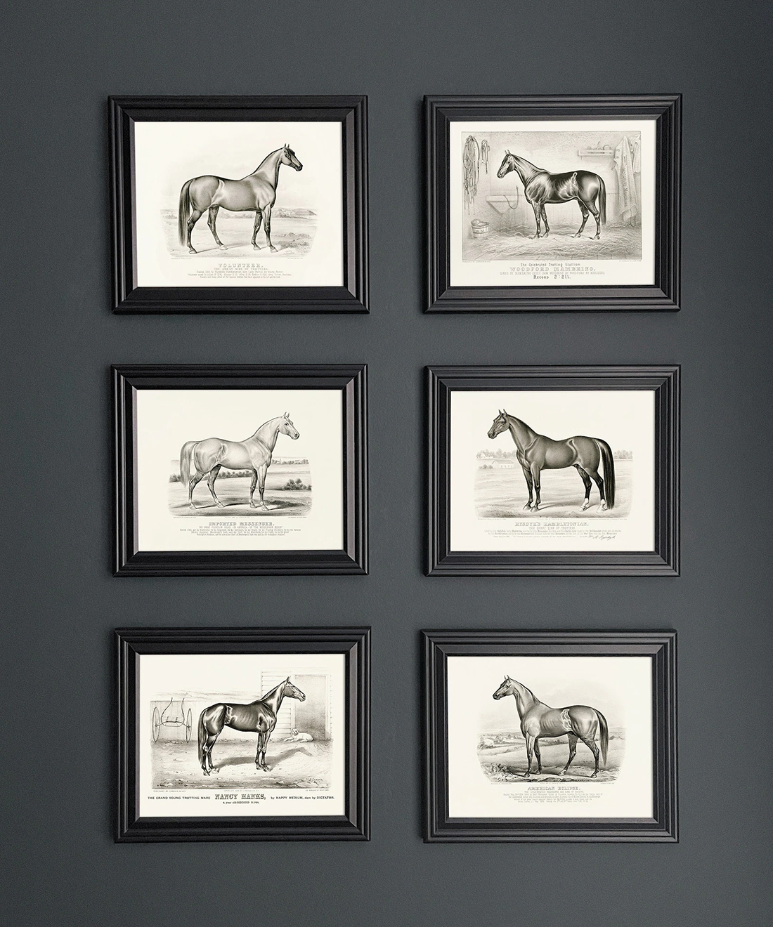 Set of 6 black and white horse prints