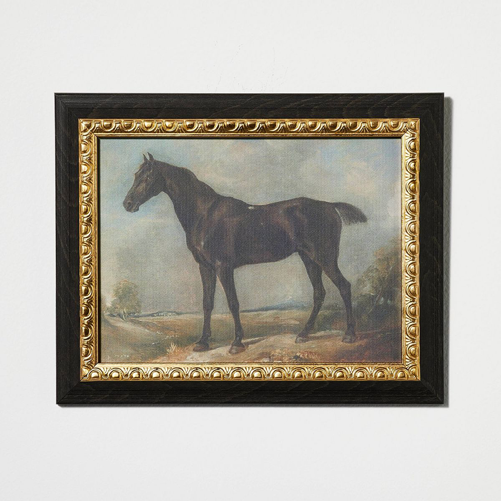 Stallion on Canvas board with frame by Studio McGee