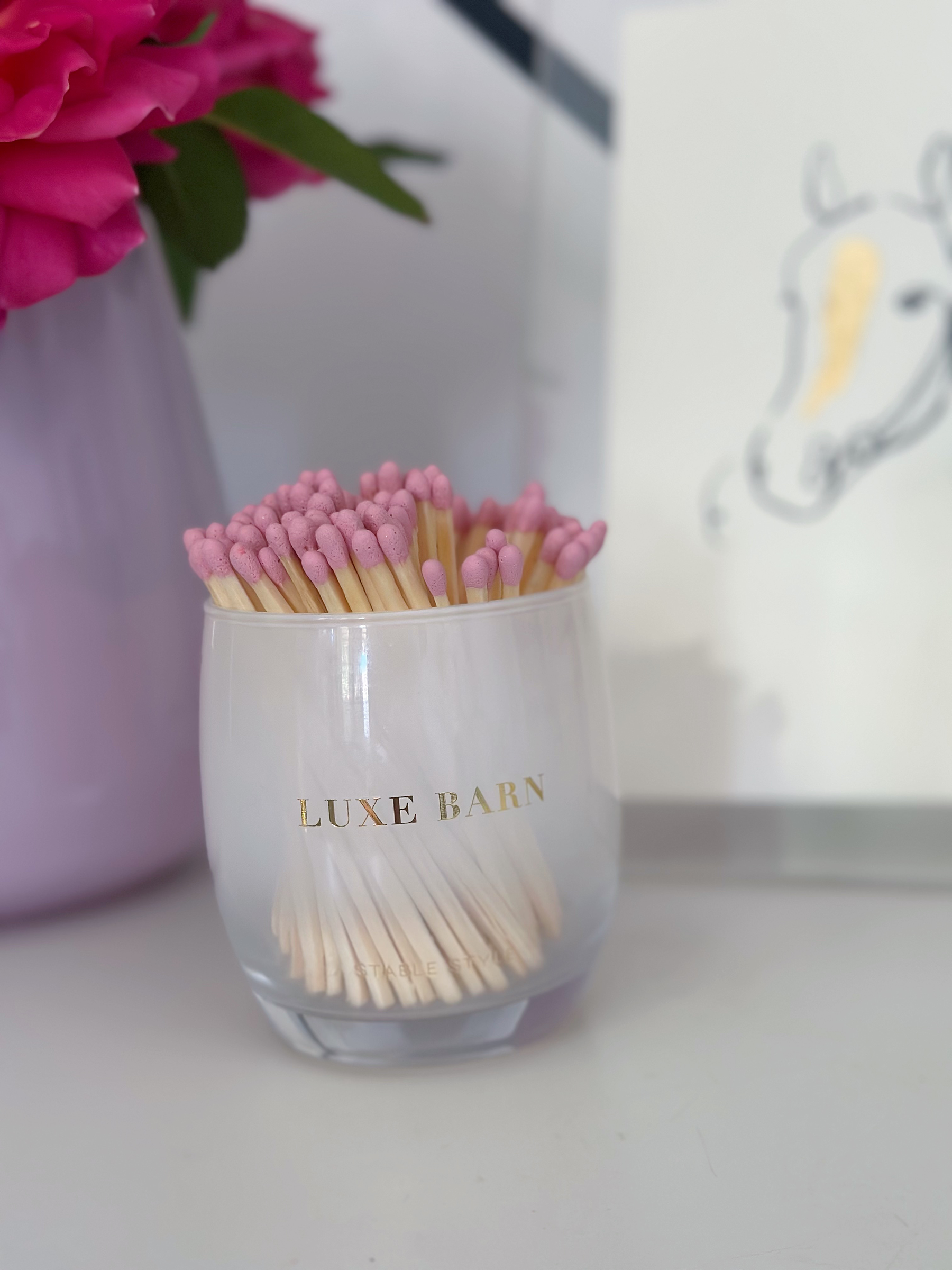 Equestrian match holder
