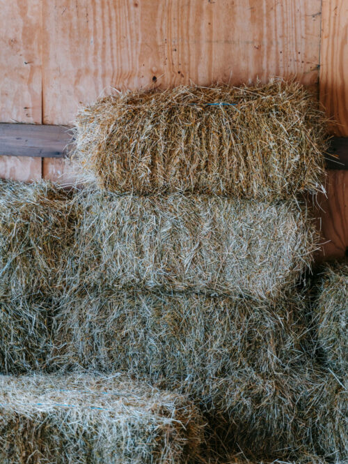 hay stacked neatly in the barn