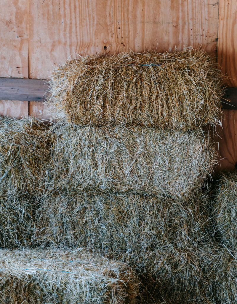 hay stacked neatly in the barn