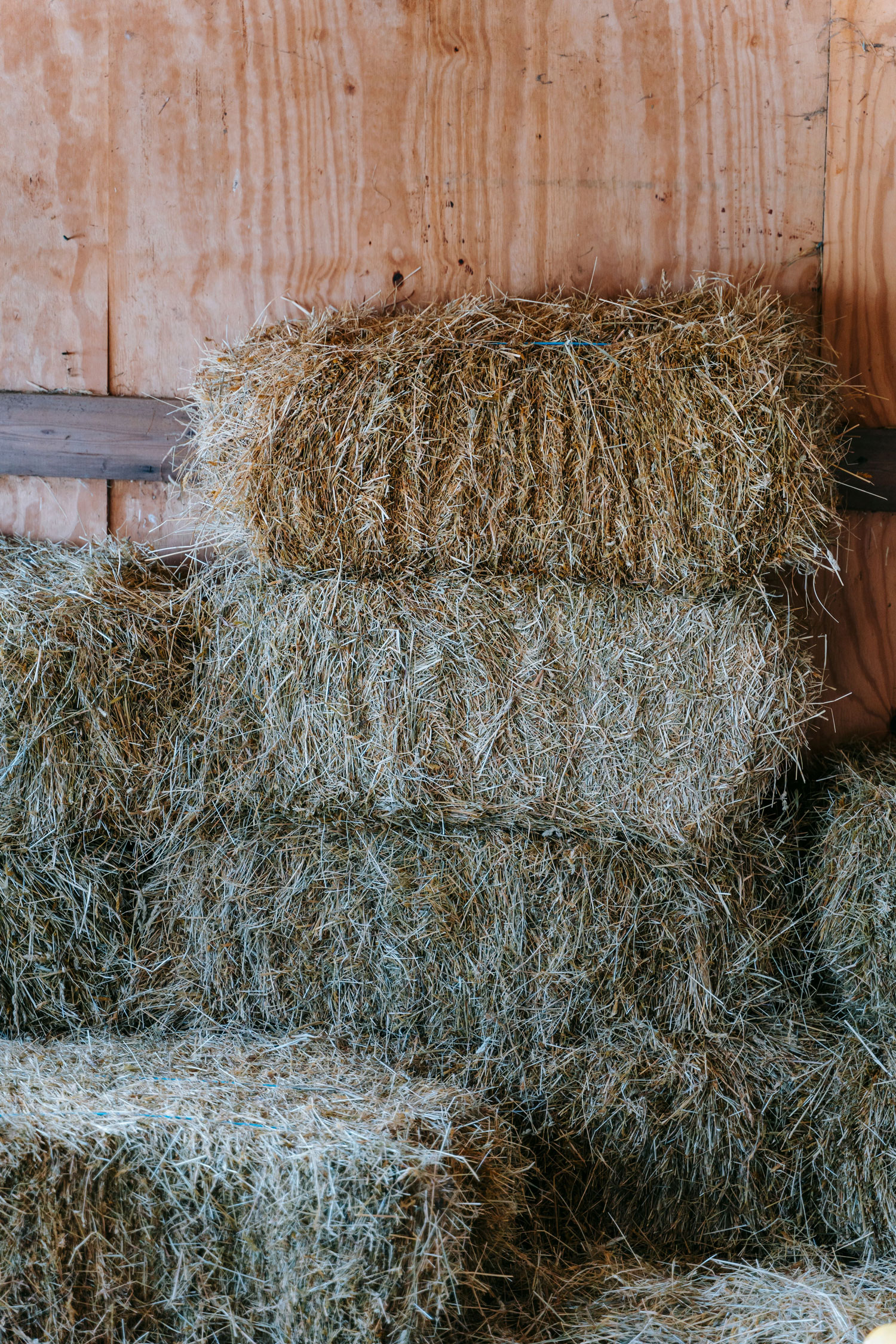 hay stacked neatly in the barn